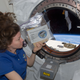 Image for article titled Buy These Seeds From Space and Make Yourself an Intergalactic Salad